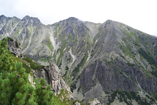 Solisko