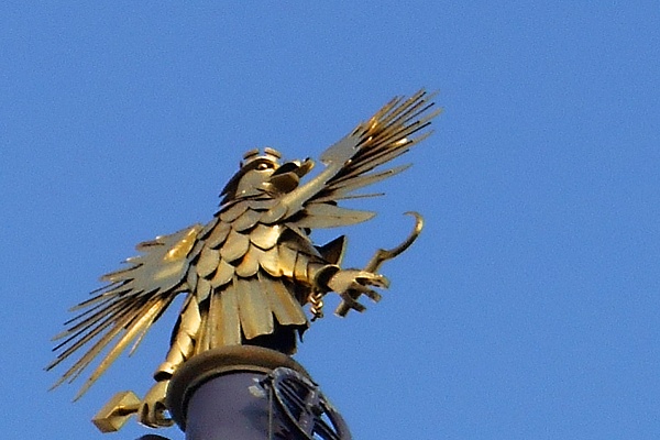 Eagle